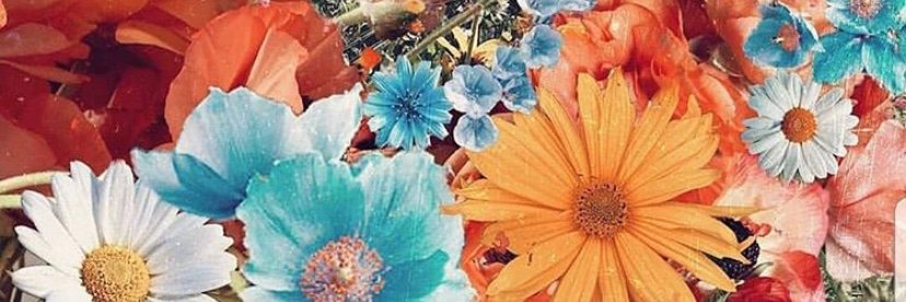 xo_prue's profile banner image