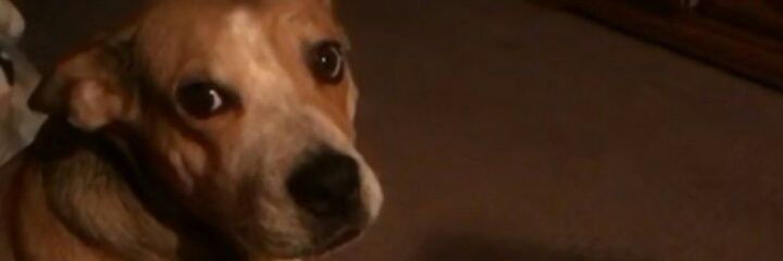 BranSargent1's profile banner image