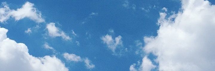 elyssa_l's profile banner image