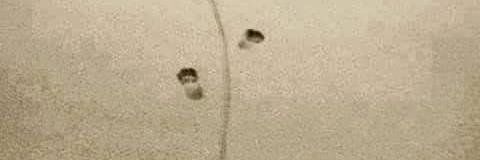 TNman85's profile banner image
