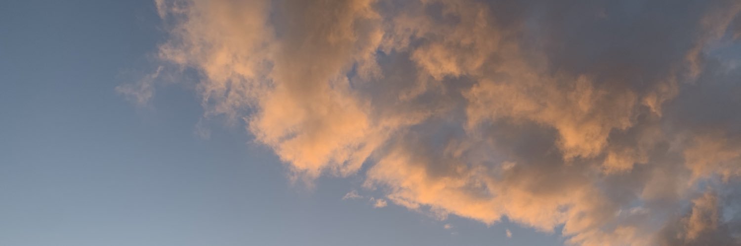 Epi1Bd's profile banner image