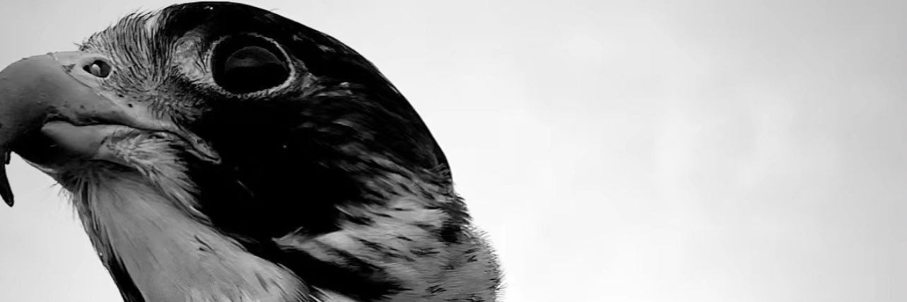 عبدالعزيز بن بصيّص banner