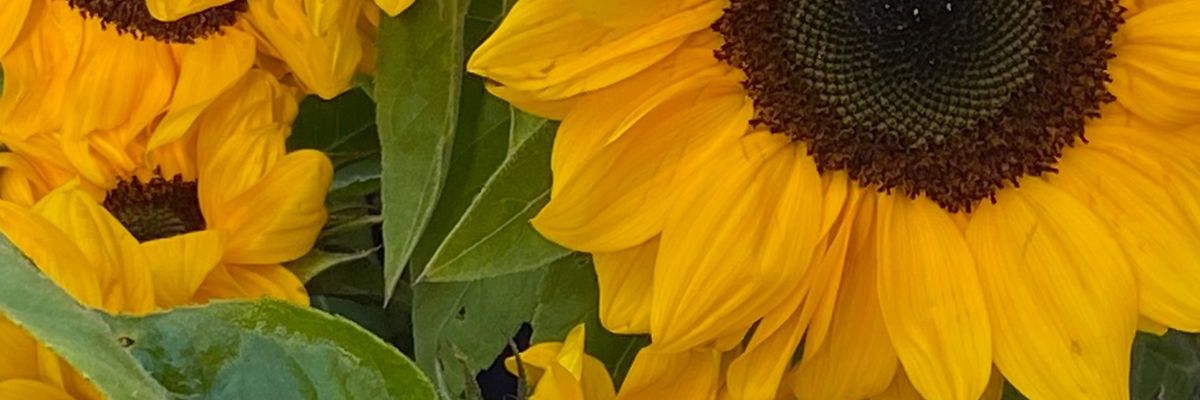 publi222's profile banner image