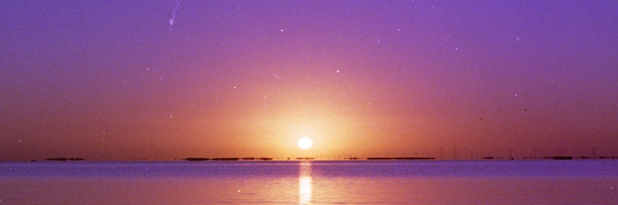 juliaerodici's profile banner image