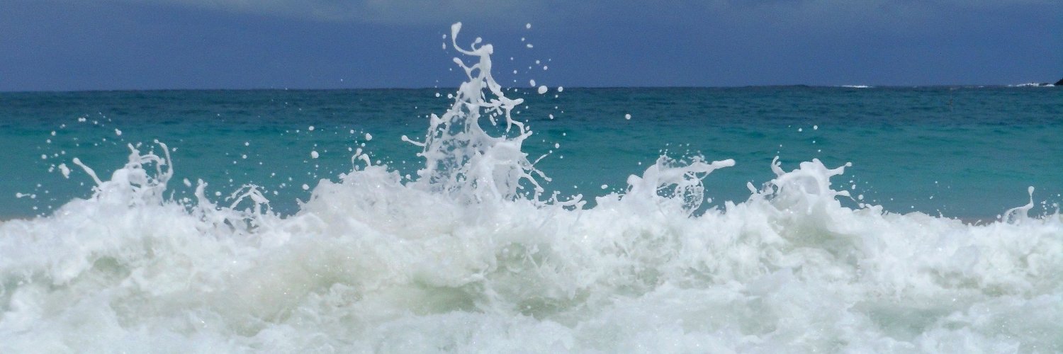 LISART_'s profile banner image