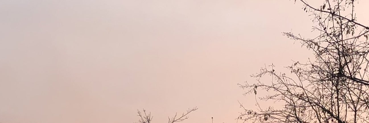 mahtuc's profile banner image