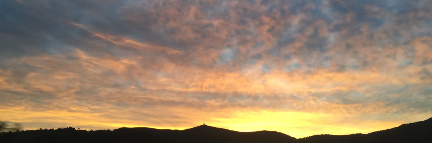 AssumBenaigesGabriel banner