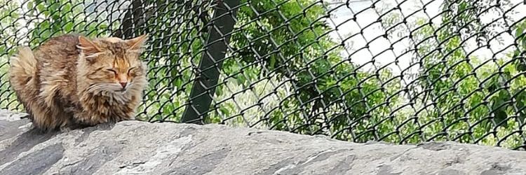 ihsan_acet63's profile banner image