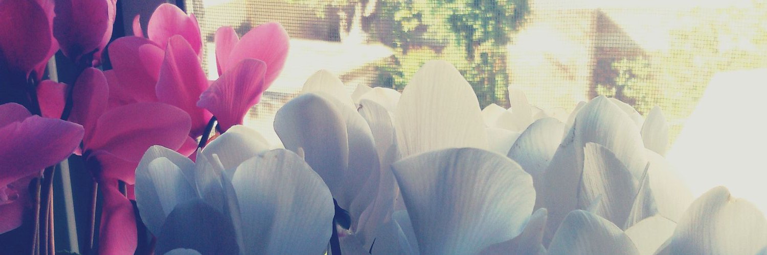 FlorRobol's profile banner image