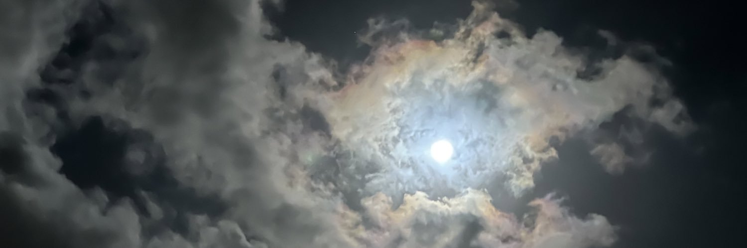 abilio ribeiro banner