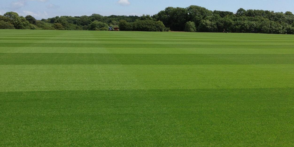 South Wales Sport Grounds Ltd banner