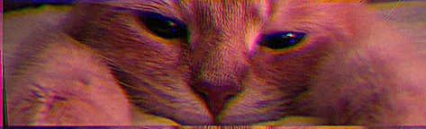 friendlymoose14's profile banner image