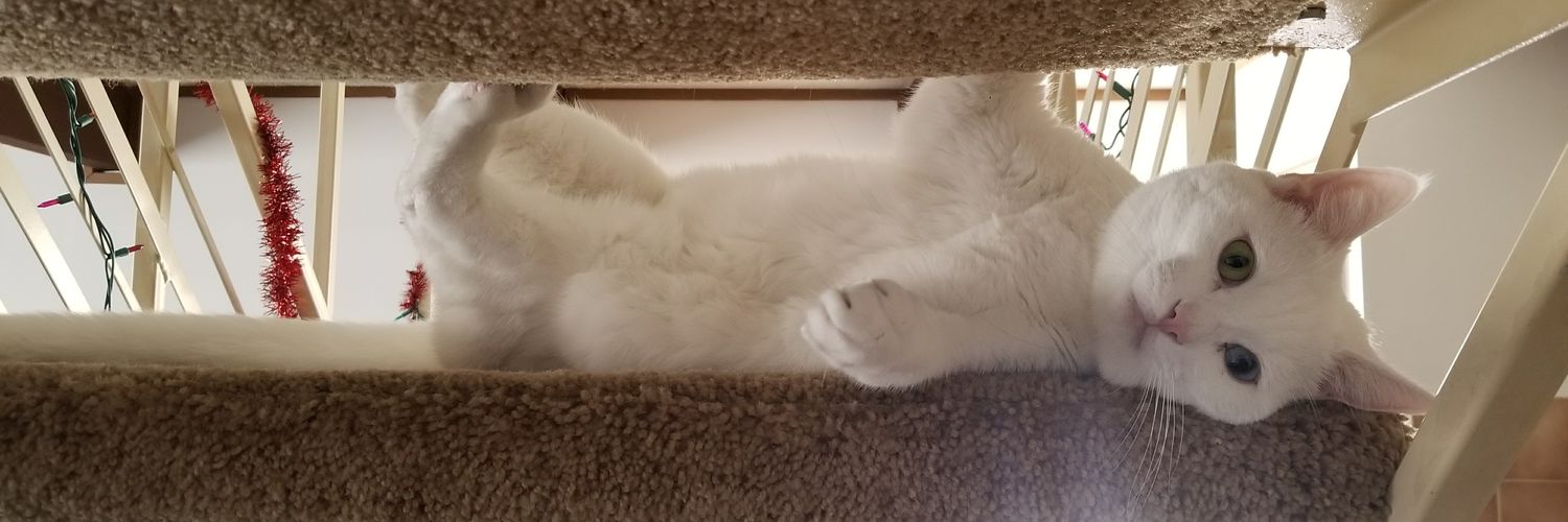 Erin (Taylor's Version) banner