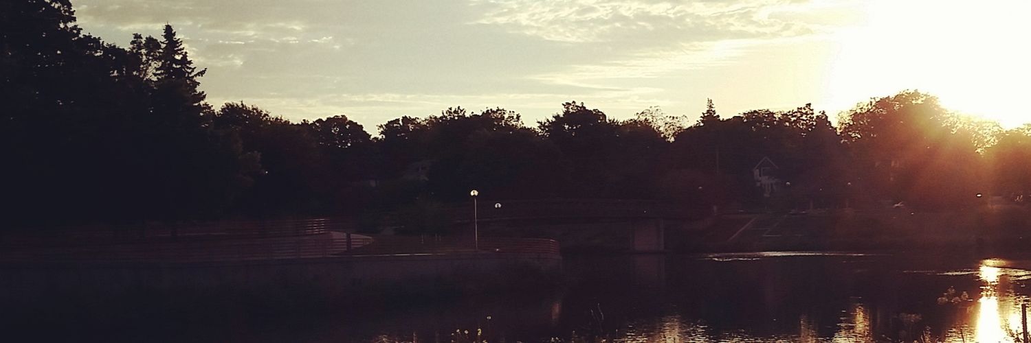 LemkePest's profile banner image