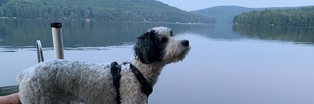 Craig Pollack banner