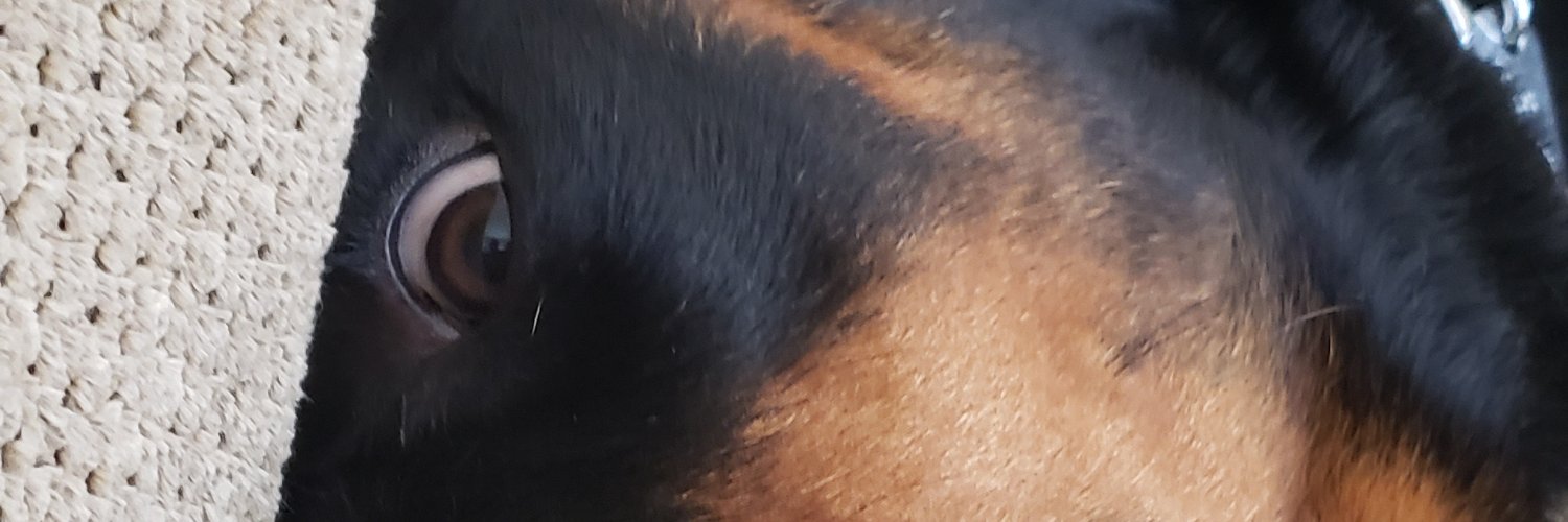 bika21's profile banner image