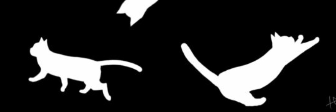 11yk12's profile banner image