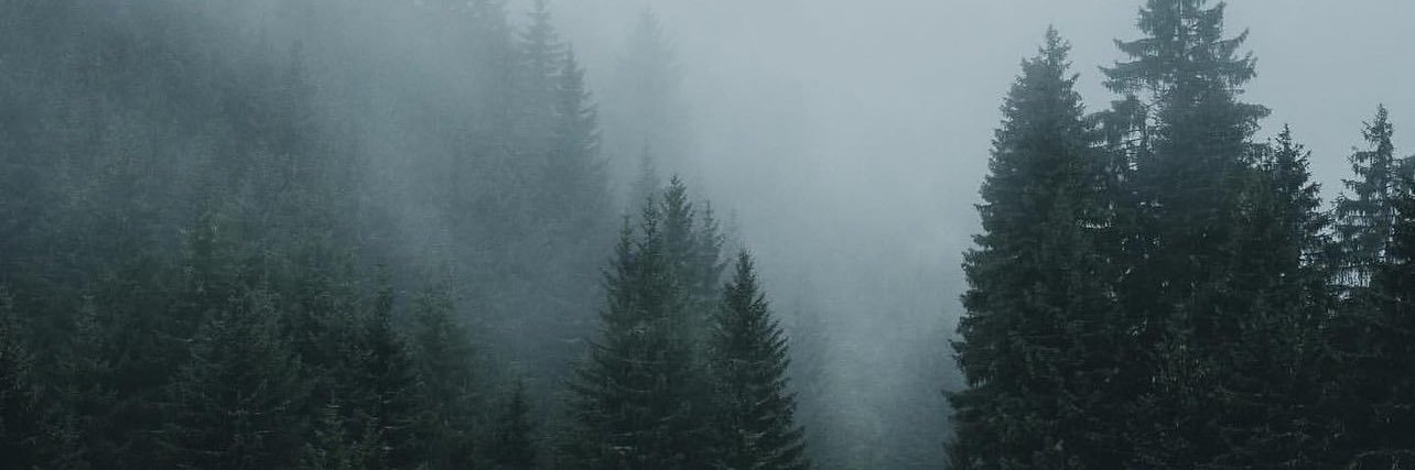 mandatherealist's profile banner image