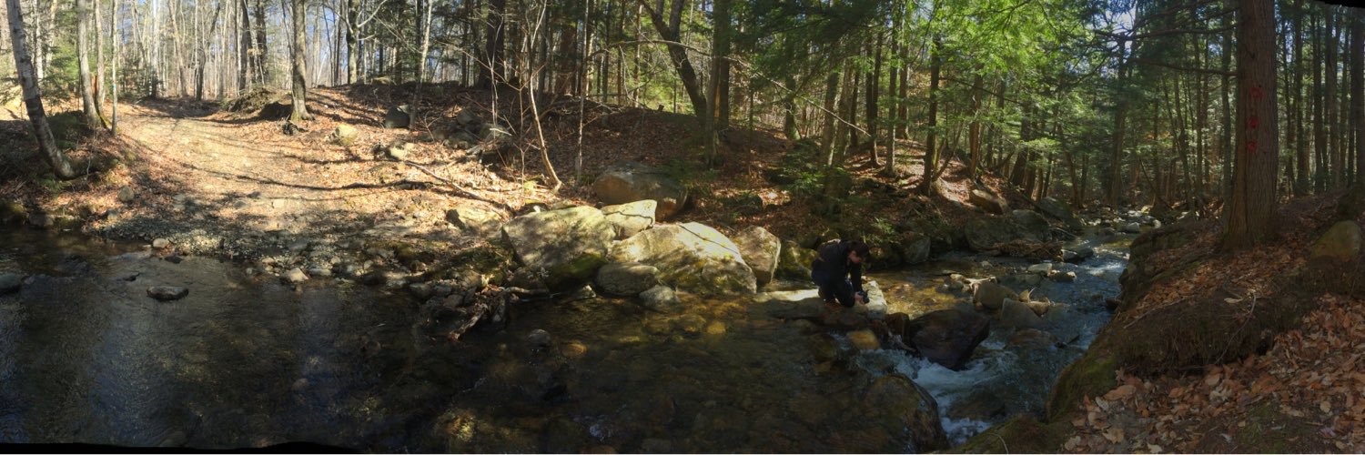 Michele Karszen banner