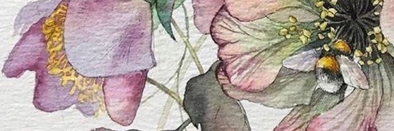 ___monn__39's profile banner image