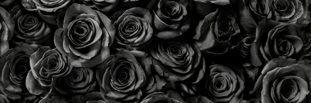 xtyc38's profile banner image