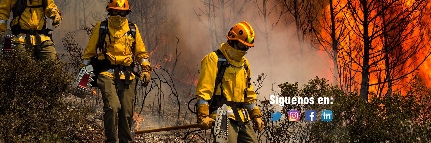 vallfirest banner