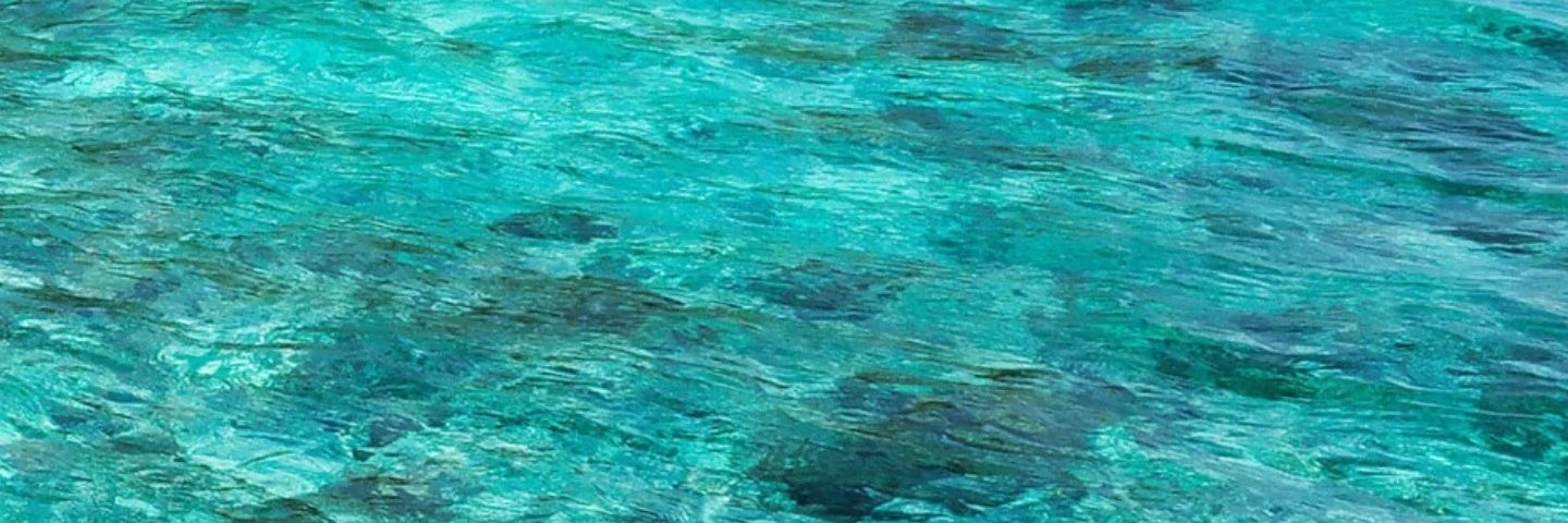 fedramorsa's profile banner image