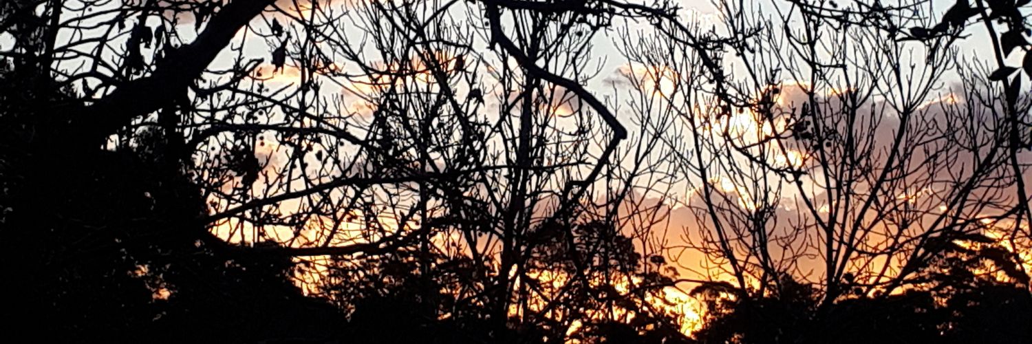 bal_fi's profile banner image