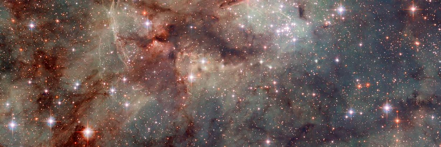 Vires in Numeris ⚡️ banner