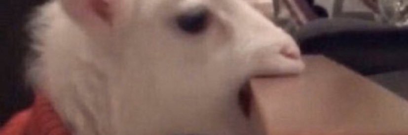 dCaramiel's profile banner image