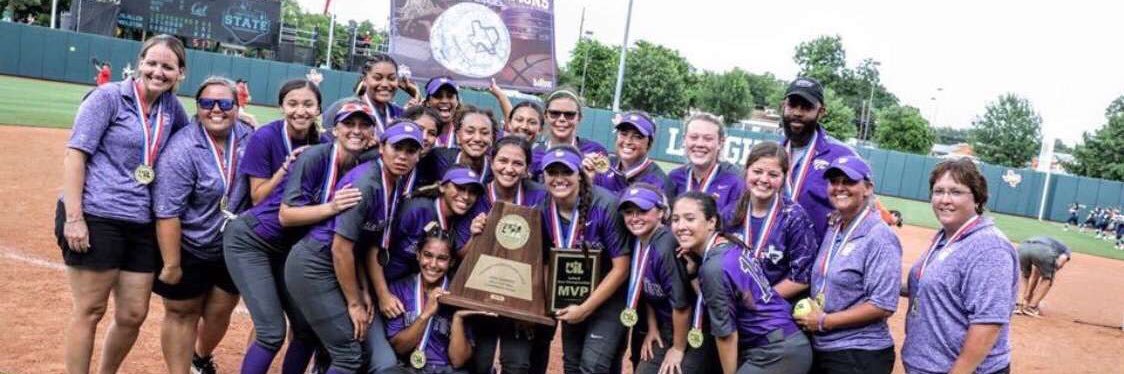 Ladycat Softball banner