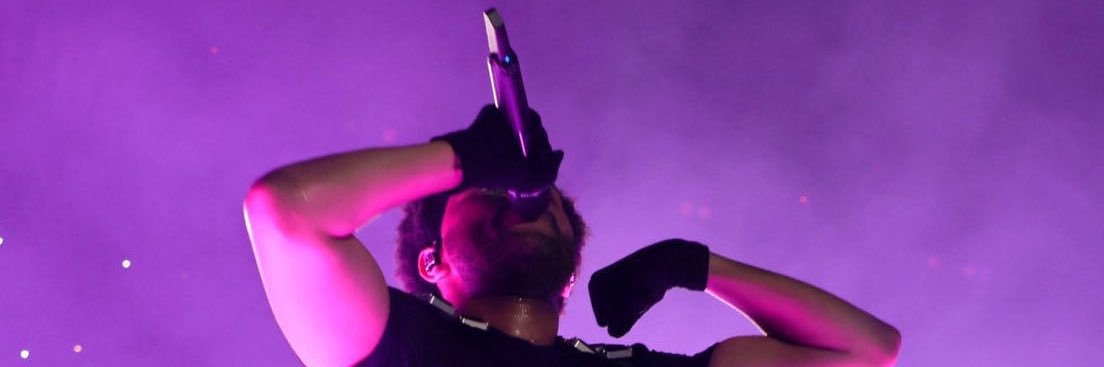 LidaGhafour's profile banner image