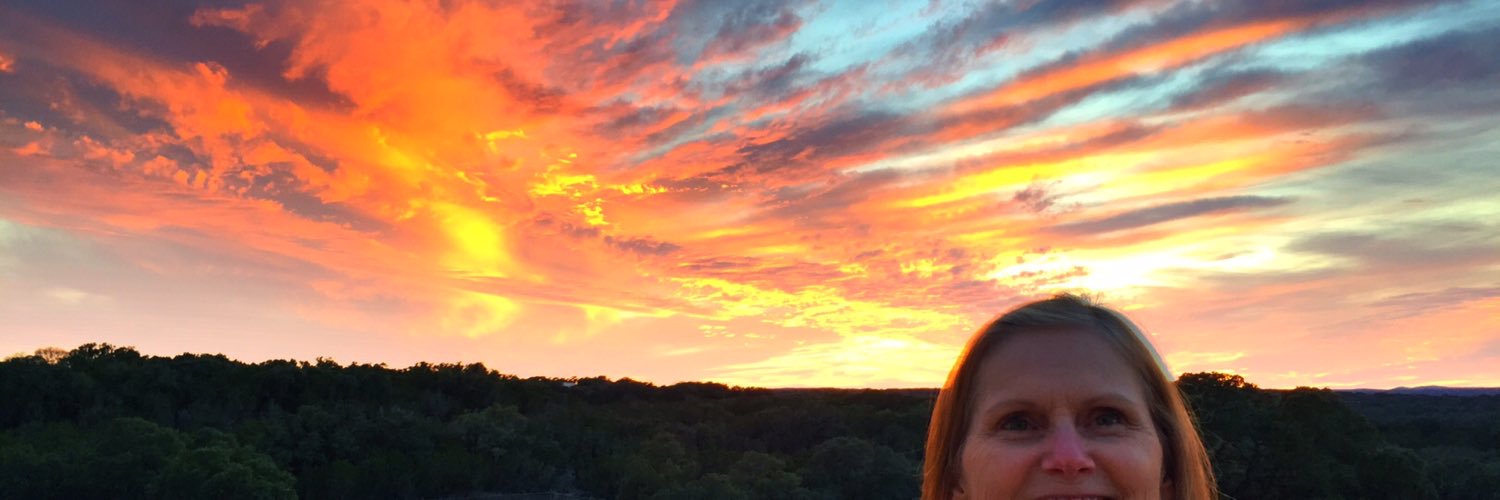beeslibrarian's profile banner image