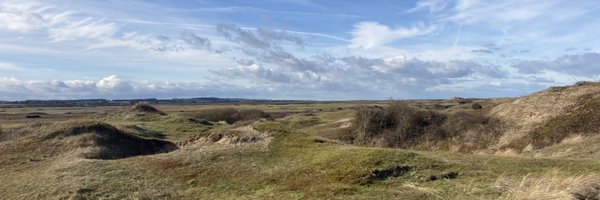 AntoineDingDong Profile Banner