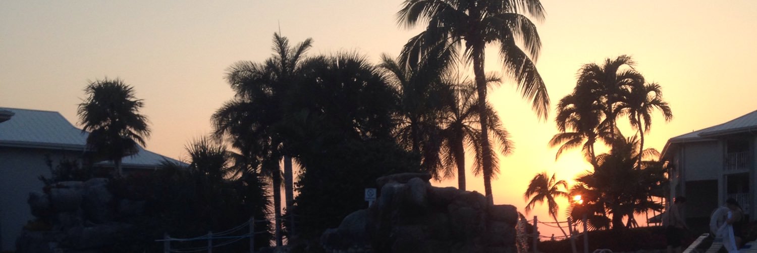 Jenkissel21's profile banner image