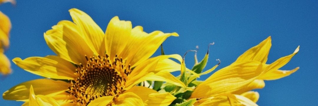 LKassandraHB's profile banner image