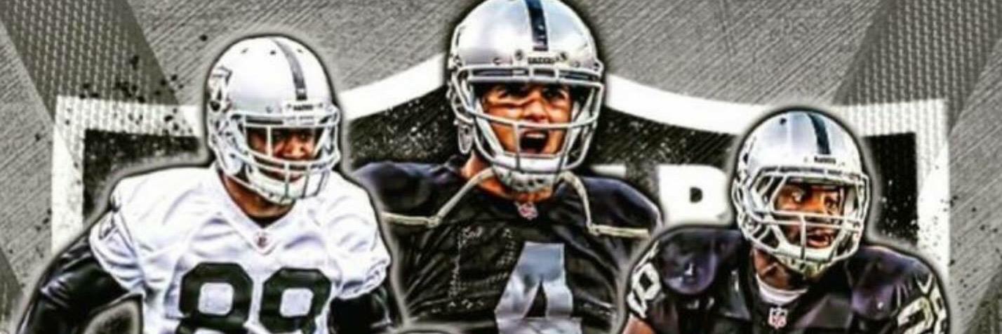 PonchoPlowells's profile banner image