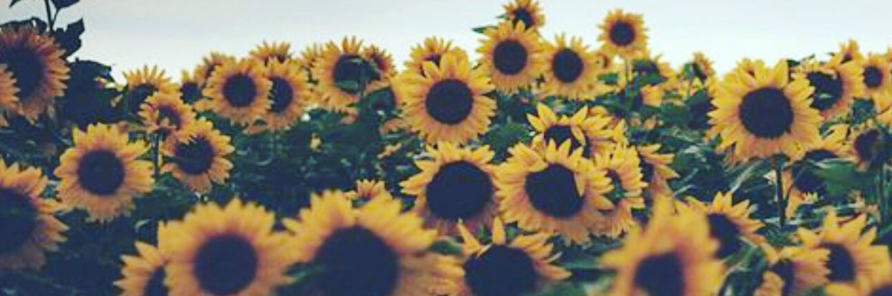 kristabond22's profile banner image