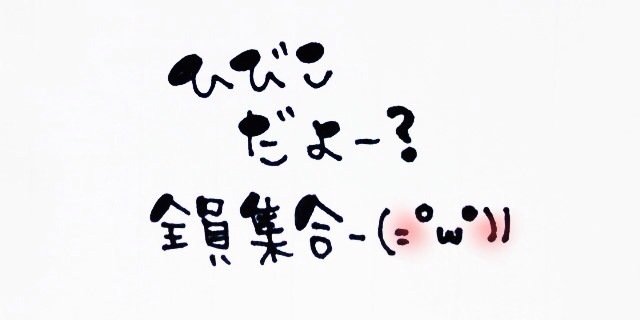eyeeverdays's profile banner image