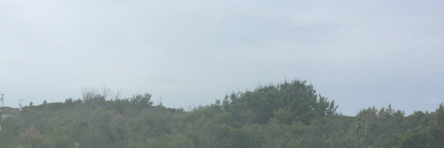 SheisHaley's profile banner image