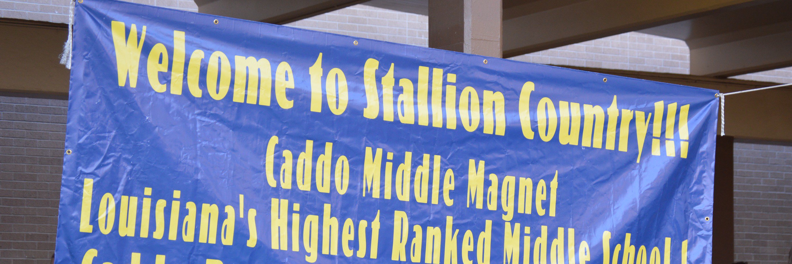 CMMStallions's profile banner image