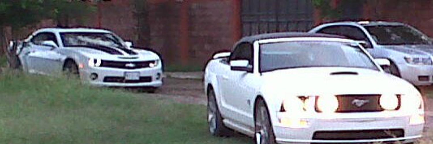 serquiru's profile banner image