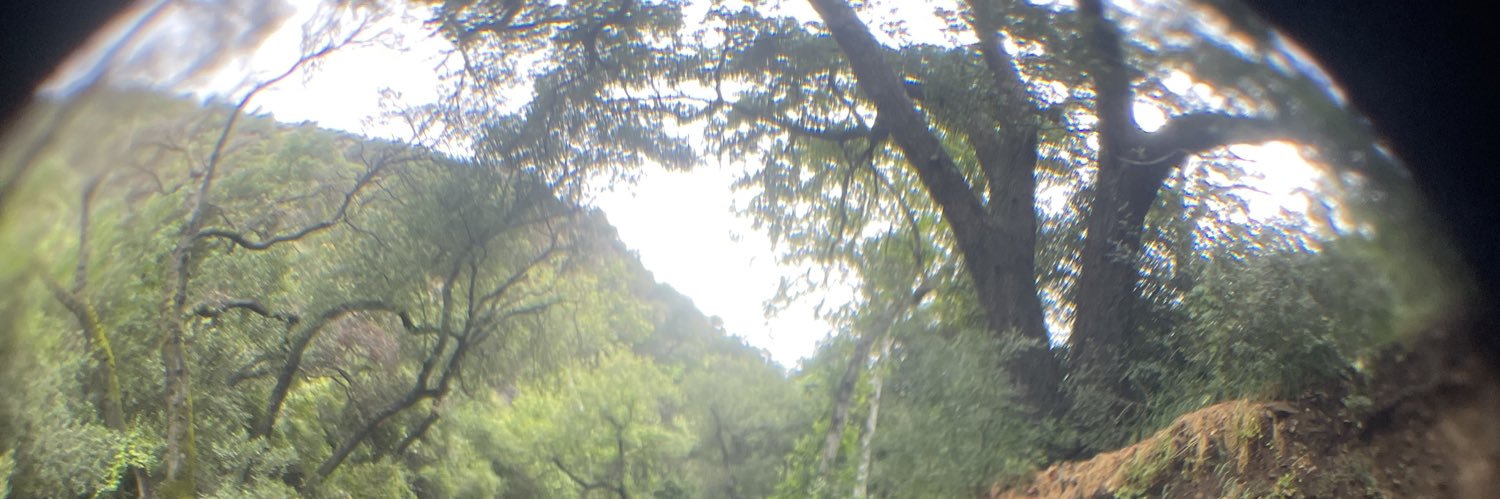 7thWoe's profile banner image