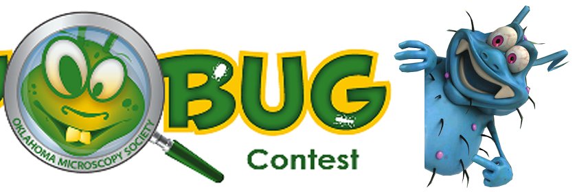 OklaUglybug's profile banner image