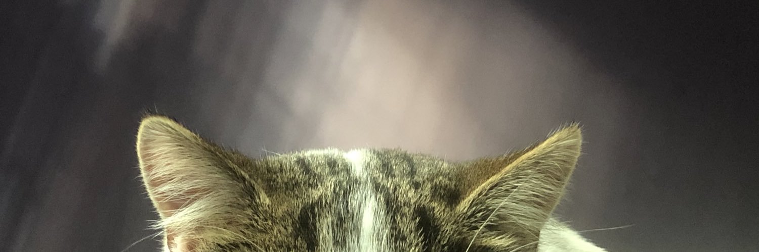 allie_mill15_'s profile banner image