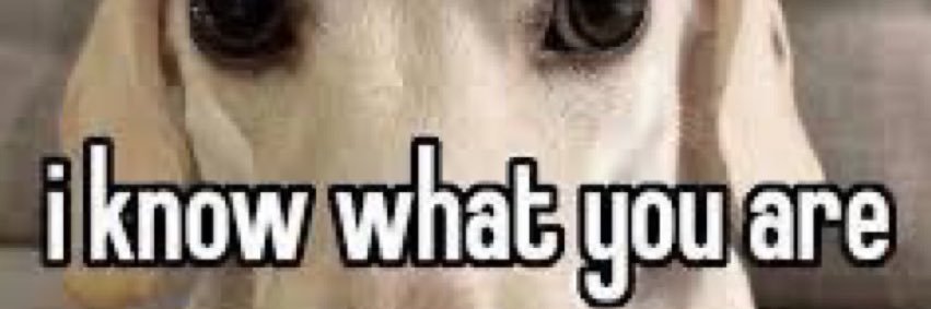 sillysoftiesara's profile banner image