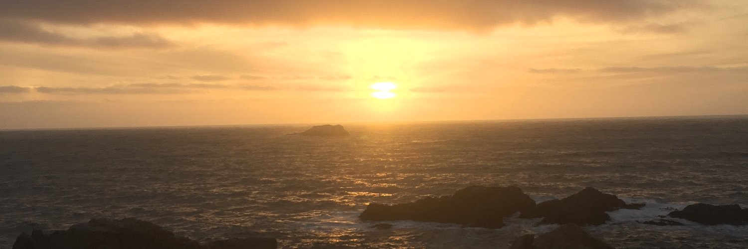 camstertarbox's profile banner image