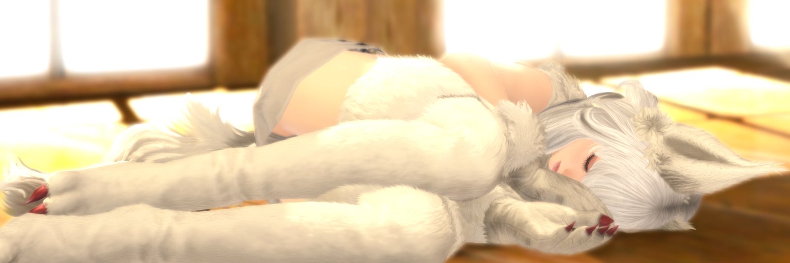 miublau's profile banner image