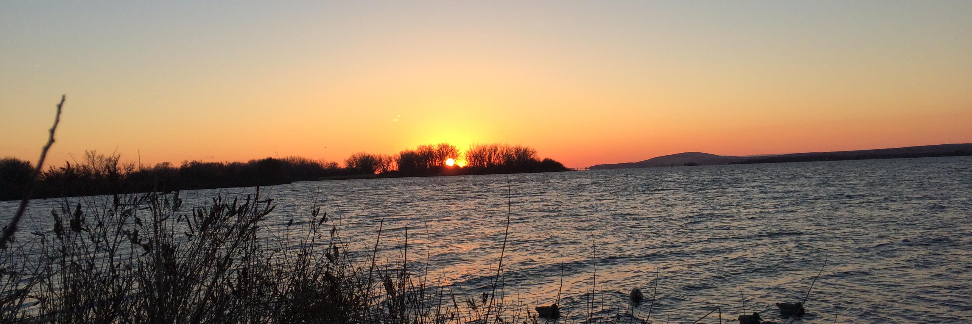 IamMichaelFoley's profile banner image
