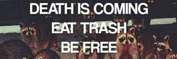 Teddy Salad banner